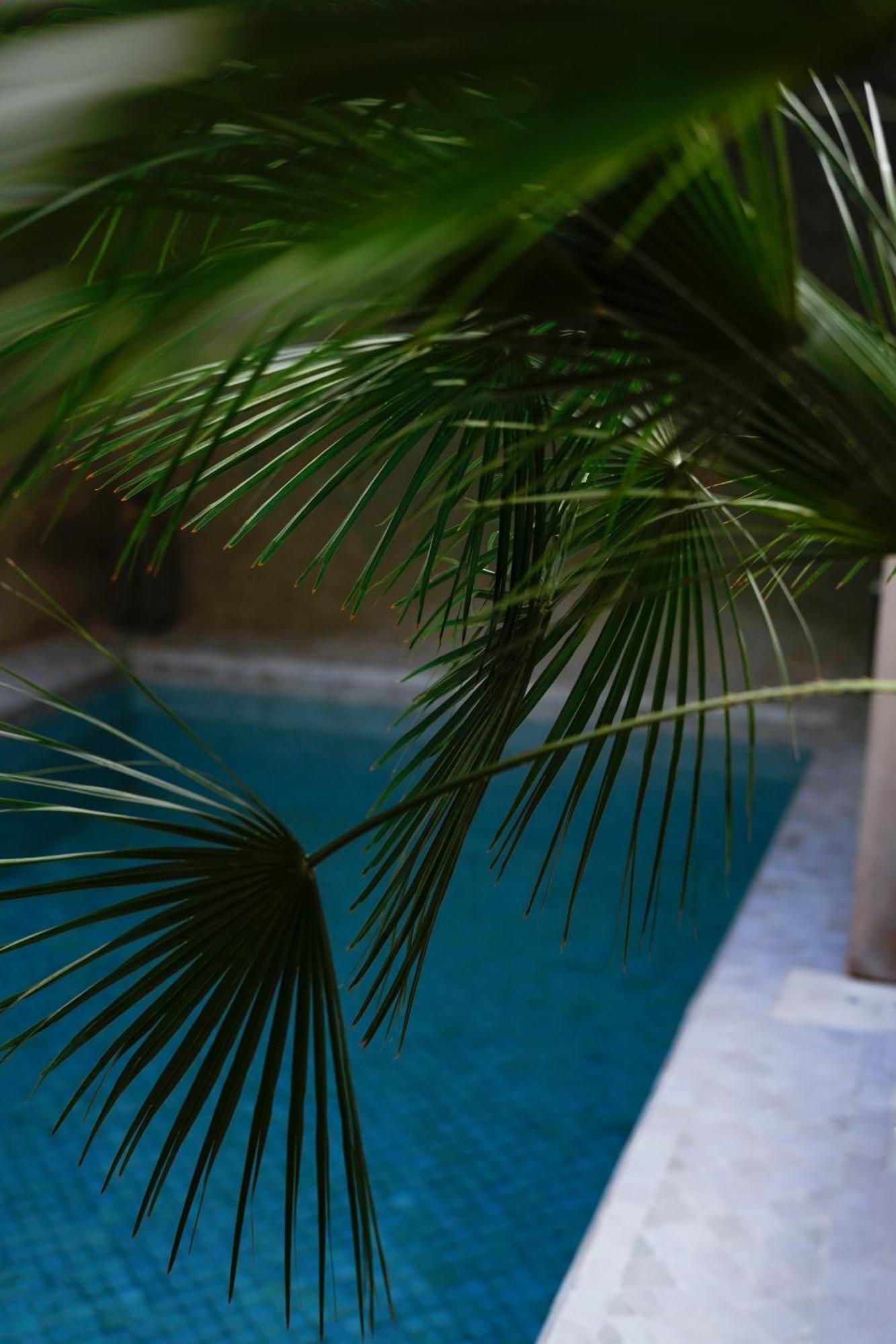 Riad Al Massarah Marrakesh Exterior photo